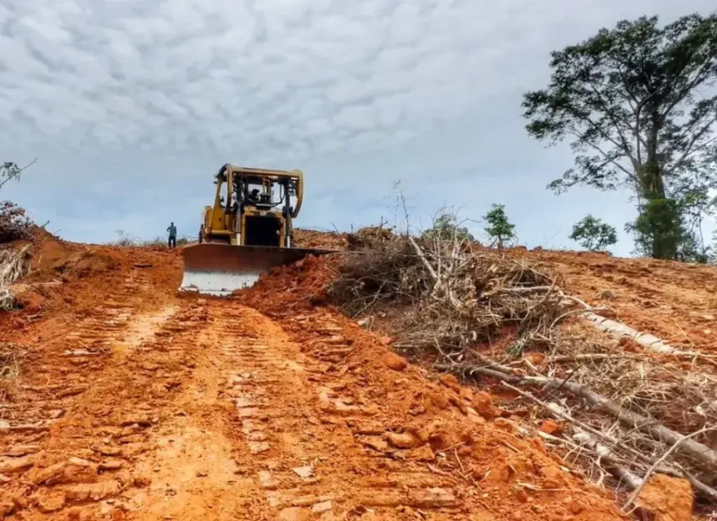 Bulldozer clearing hillside